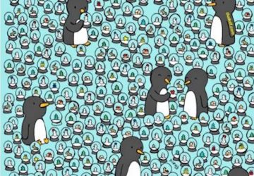 pingouin enigme
