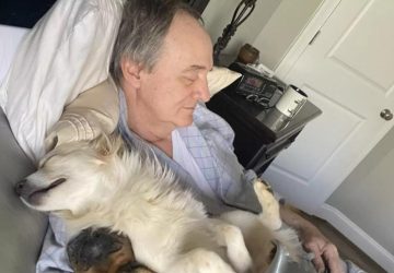 Ce papa fait la sieste avec les chiens des voisins !