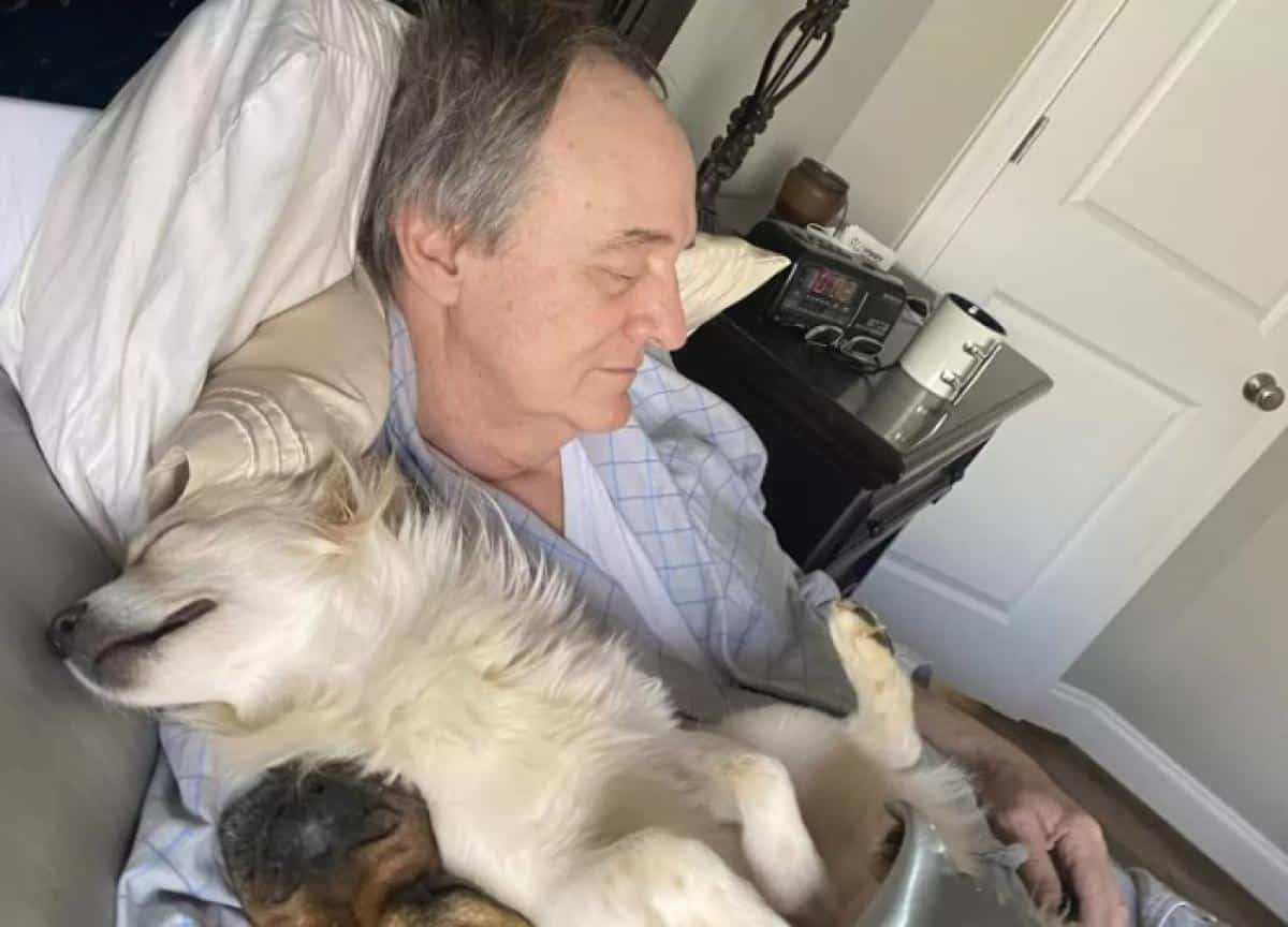 Ce papa fait la sieste avec les chiens des voisins !