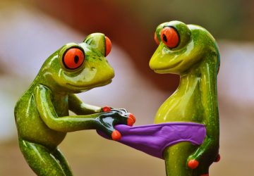 Contraception de plus en plus d'hommes optent pour le slip chauffant