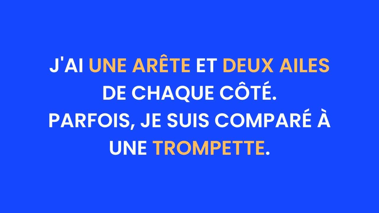 Énigme du jour : Ce "qui suis-je ?" va vous donner du fil à retordre