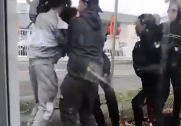adolescent handicape rue coup lycee