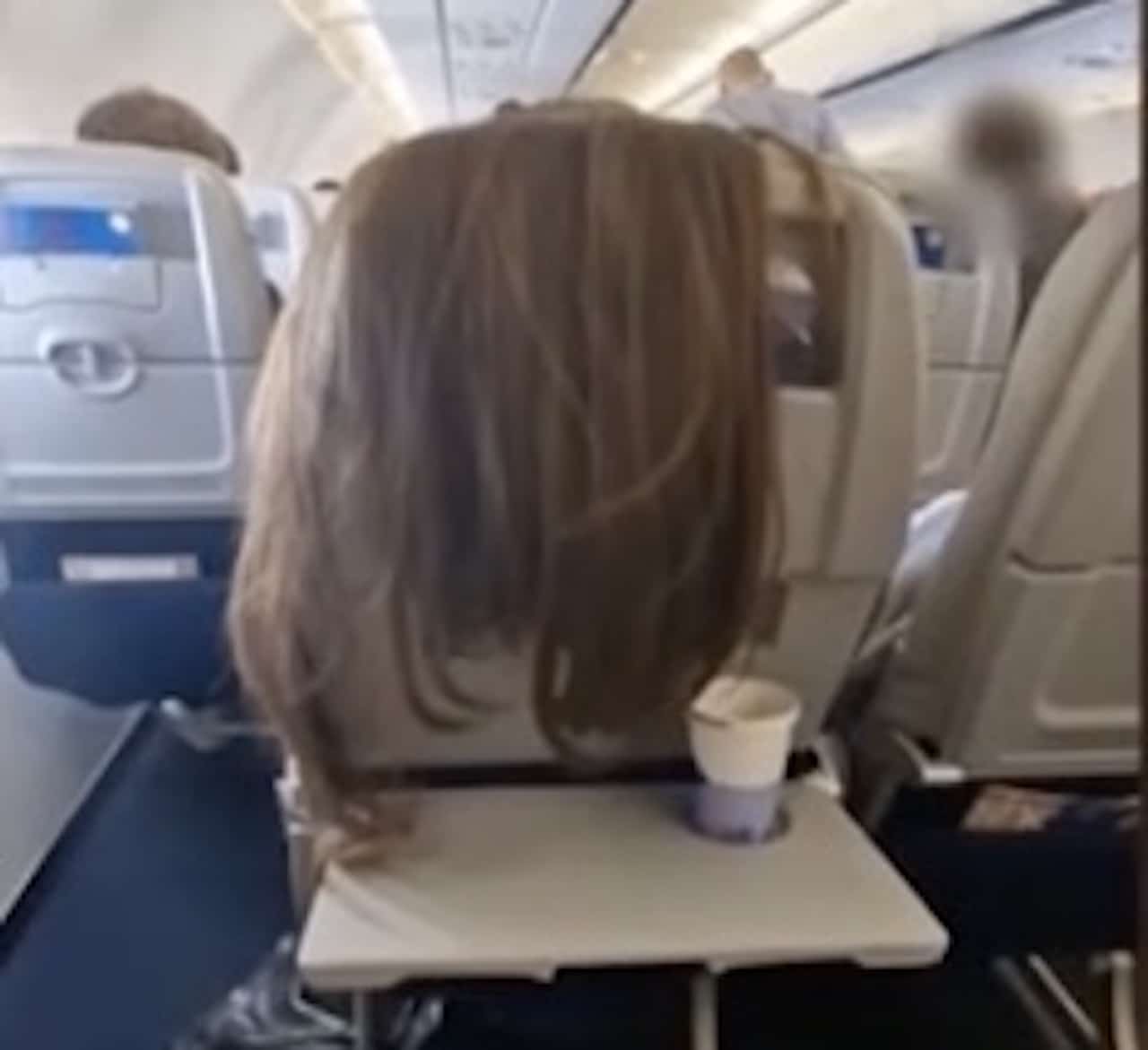 avion cheveux