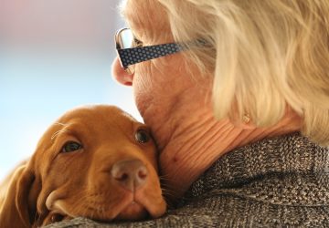 retraitée chien sauvé cagnotte