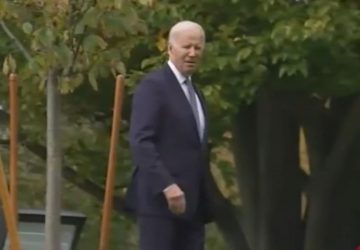joe biden perdu video (2)