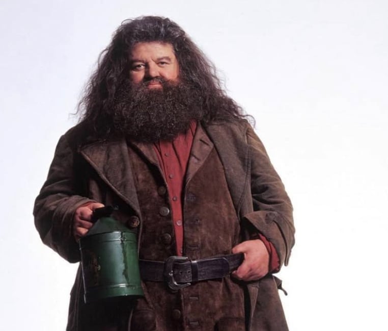 mort Hagrid Harry Potter robbie coltrane