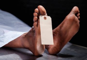 organes-fonctionnement-apres-la-mort-1