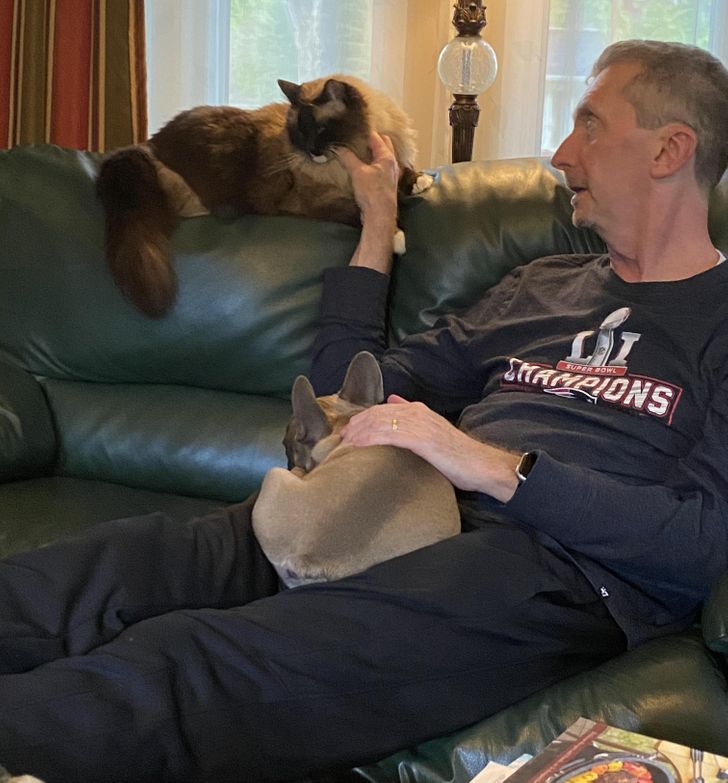 Il ne voulait pas d'animaux