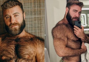 Teddy Bear