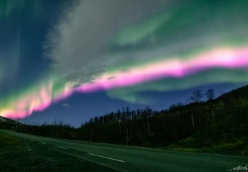 aurores boreales roses novege (2)