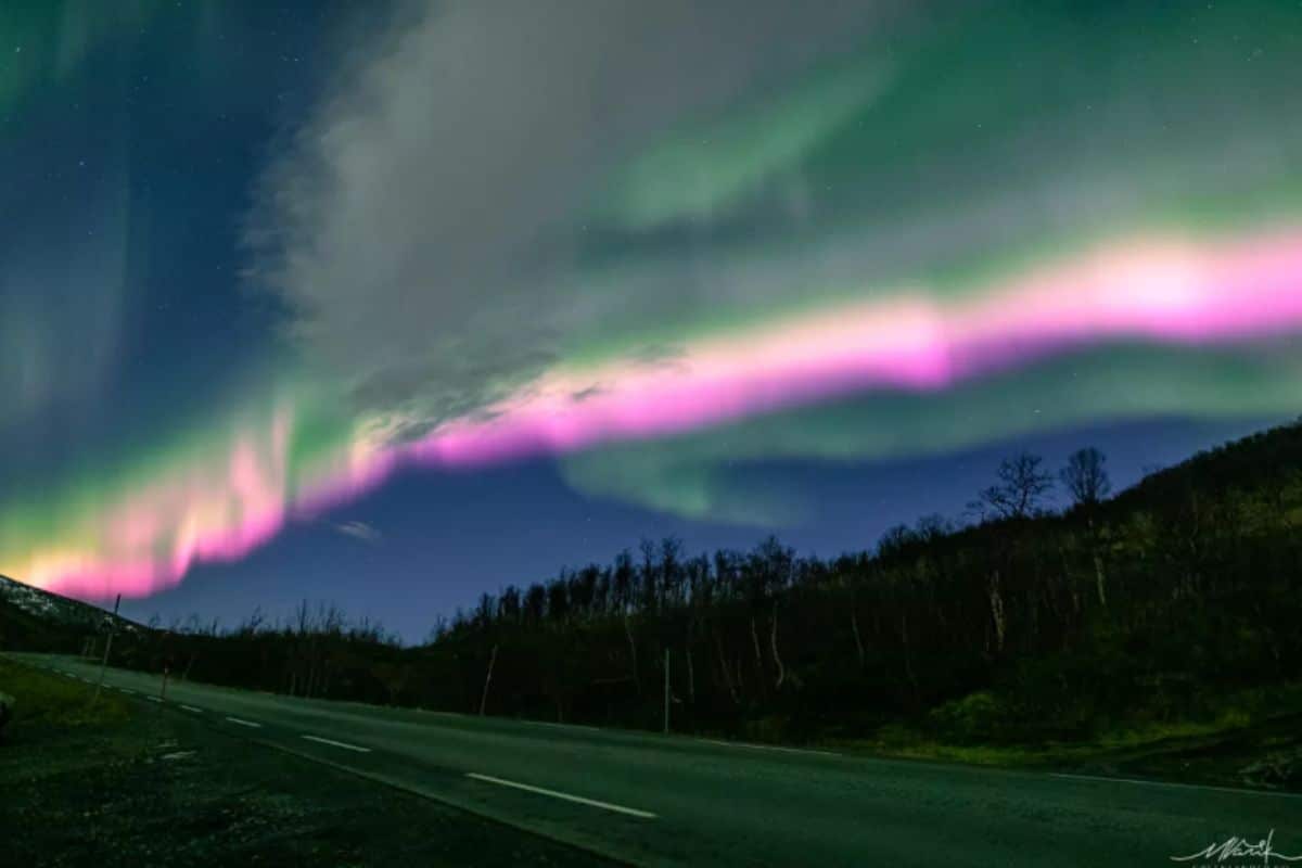 aurores boreales roses novege (2)