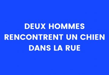 blague chien