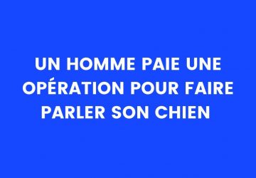 blague chien