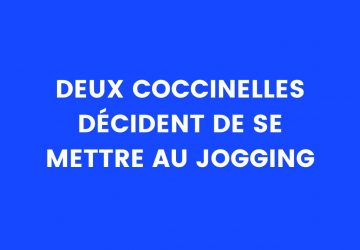 blague coccinelle
