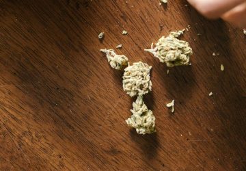 cbd