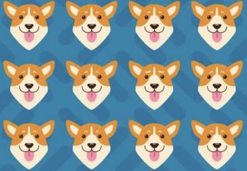 corgi énigme
