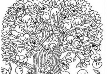 enigme arbre