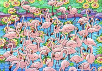 enigme-flamant-rose