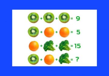 enigme fruits