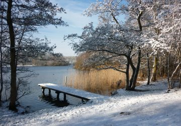 Hiver très froid