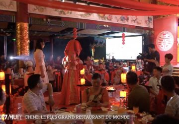 restaurant chinois pratique plats animaux sauvages