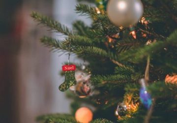 sapin
