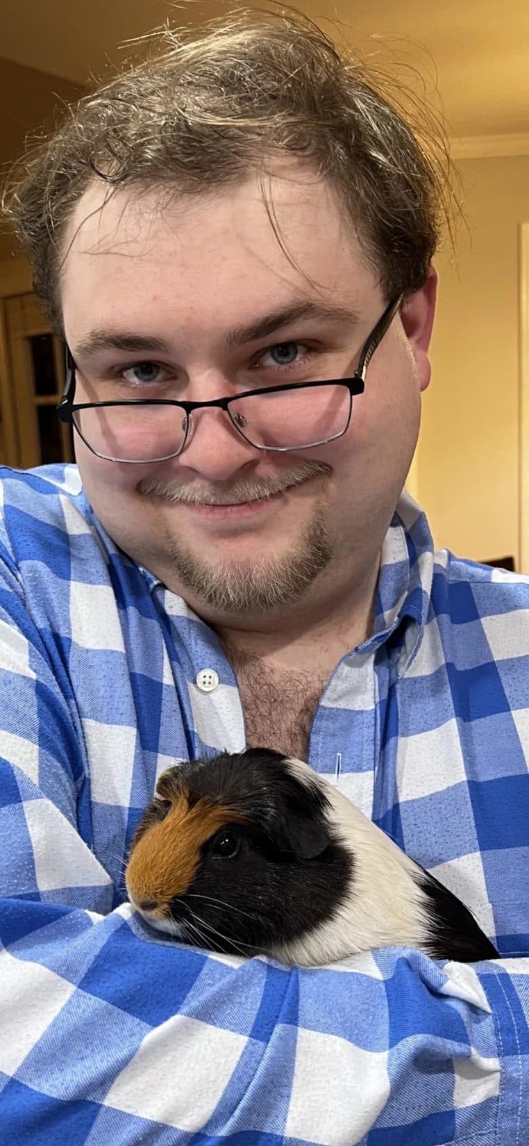 Les cochons d'Indes sont des animaux de labo.