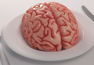 cerveau humain cannibalisme