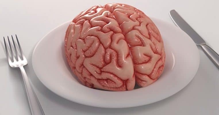 cerveau humain cannibalisme
