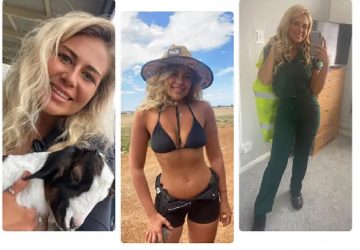 Elle met une photo en bikini sur son CV et reçoit de nombreuses offres d'emploi