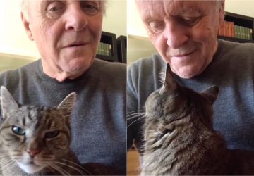 anthony chat