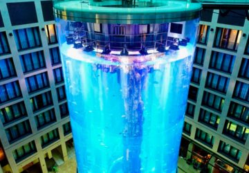 aquarium berlin hotel poissons