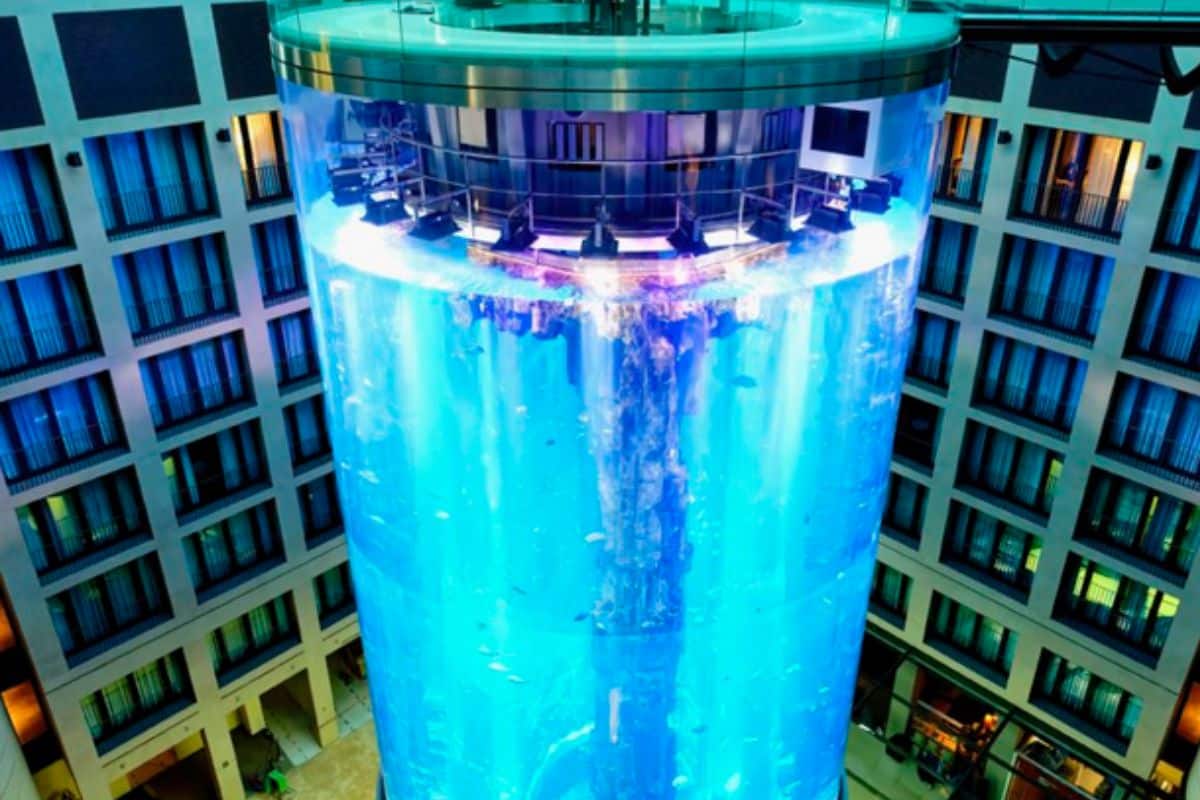 aquarium berlin hotel poissons