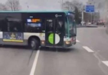 bus