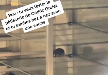 cedric grolet