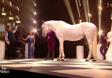 cheval miss france
