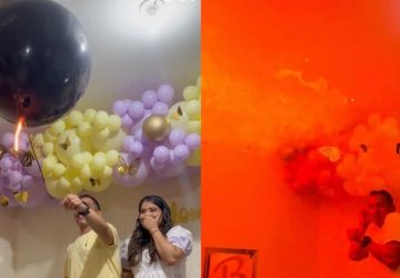 gender reveal