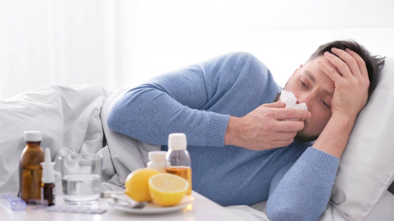 grippe france épidémie maladie santé