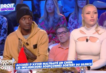 tpmp chien maltraite violcences influenceurs video internautes