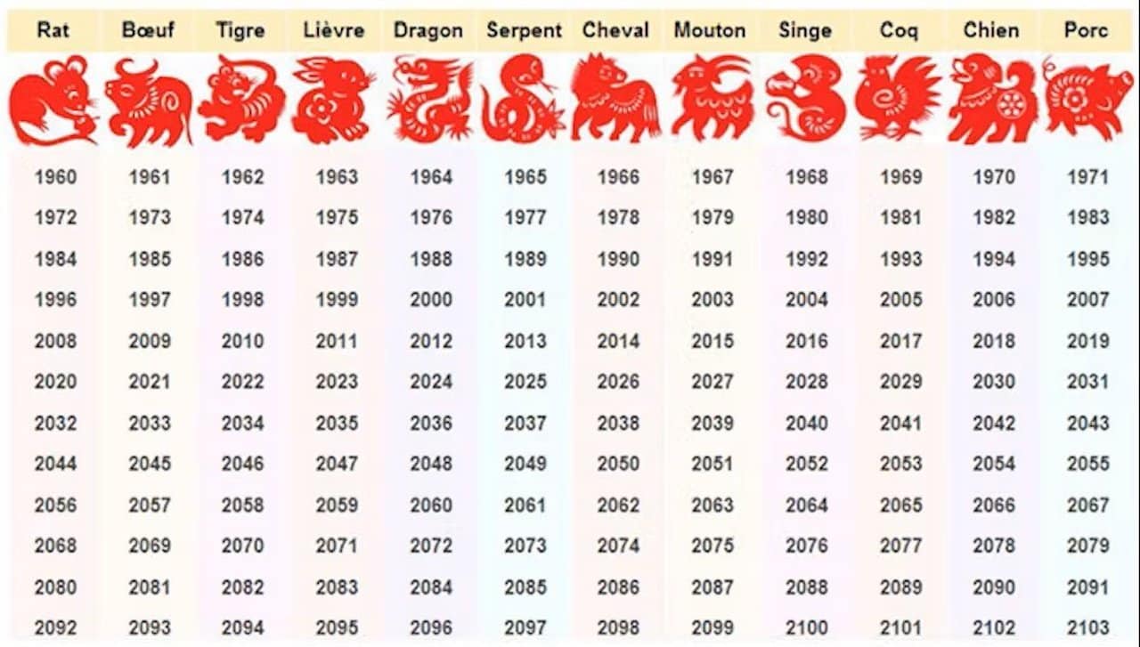 Следующий год по китайскому. Следующий год по китайскому гороскопу. Символ следующего года. 2022 Год какой год. Какой следующий год.