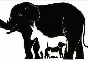 enigme-animaux