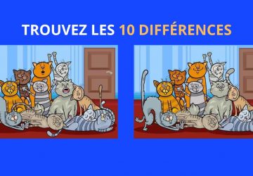 enigme differences