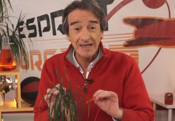 fred courant jamy gourmaud