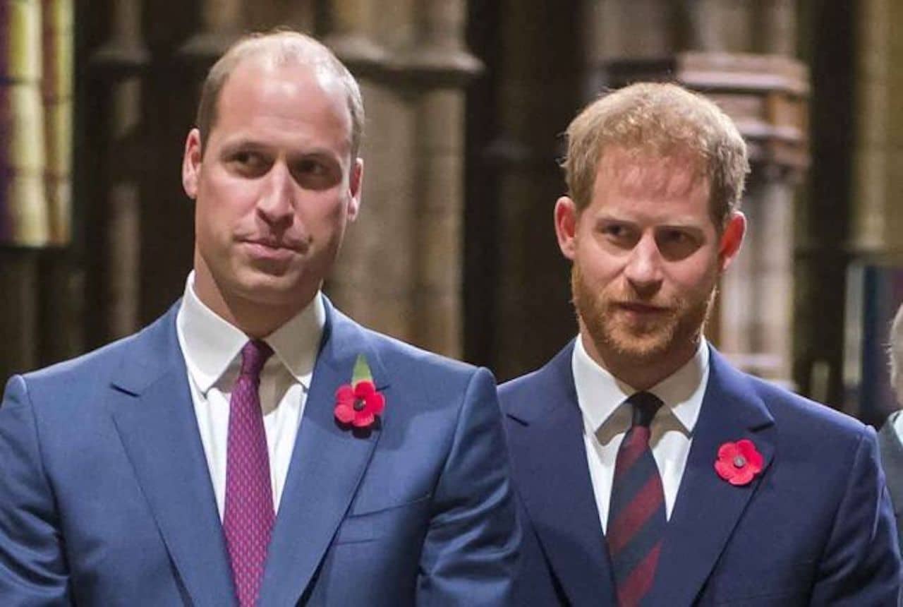 william et harry