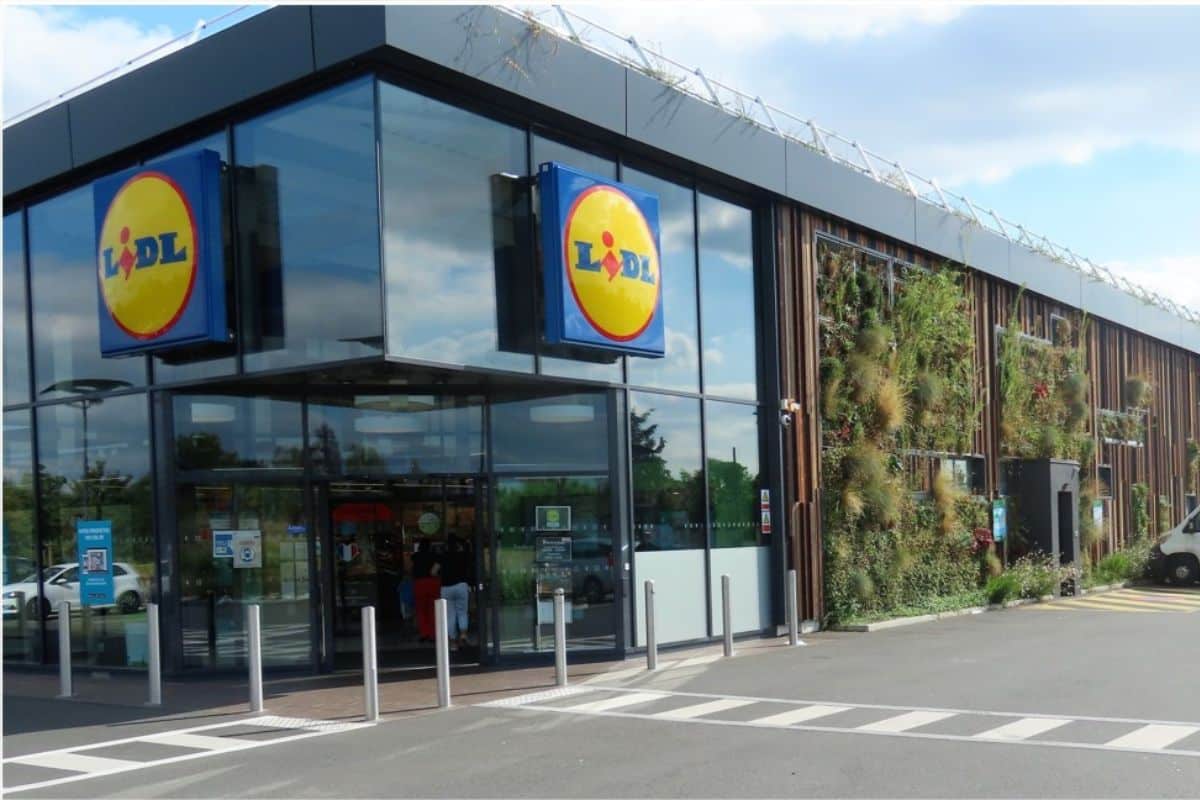 lidl barbecue
