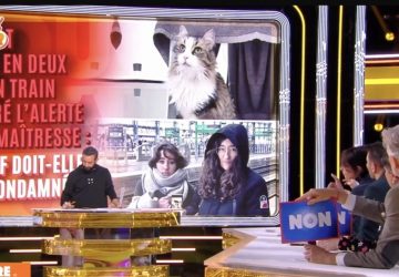 chat sncf