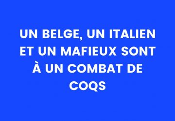 Blague du jour : un Belge, un Italien et un mafieux sont à un combat de coqs