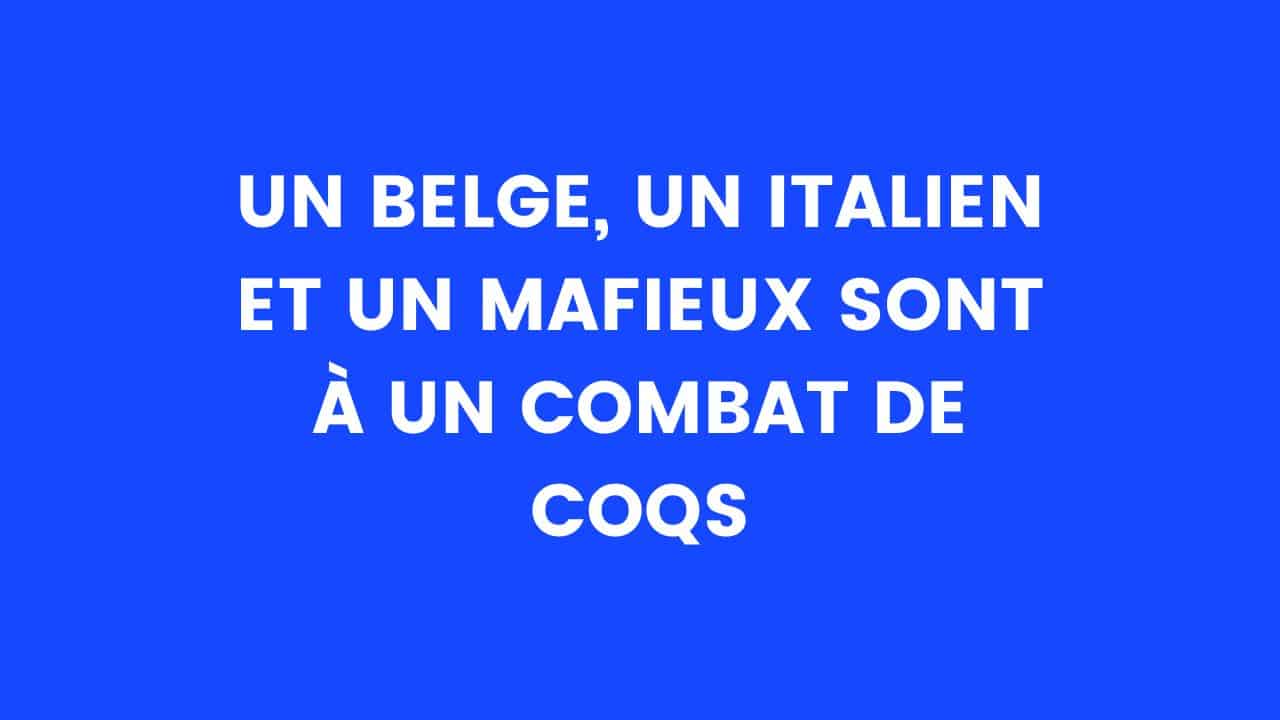 Blague du jour : un Belge, un Italien et un mafieux sont à un combat de coqs