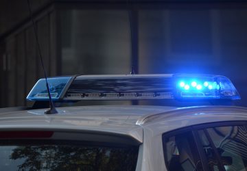 agression agresseur langue réflexe