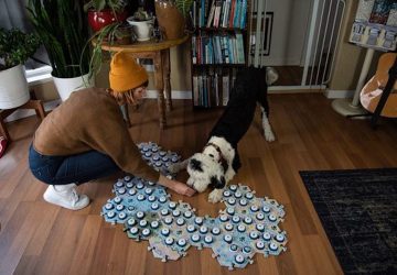 chien parle